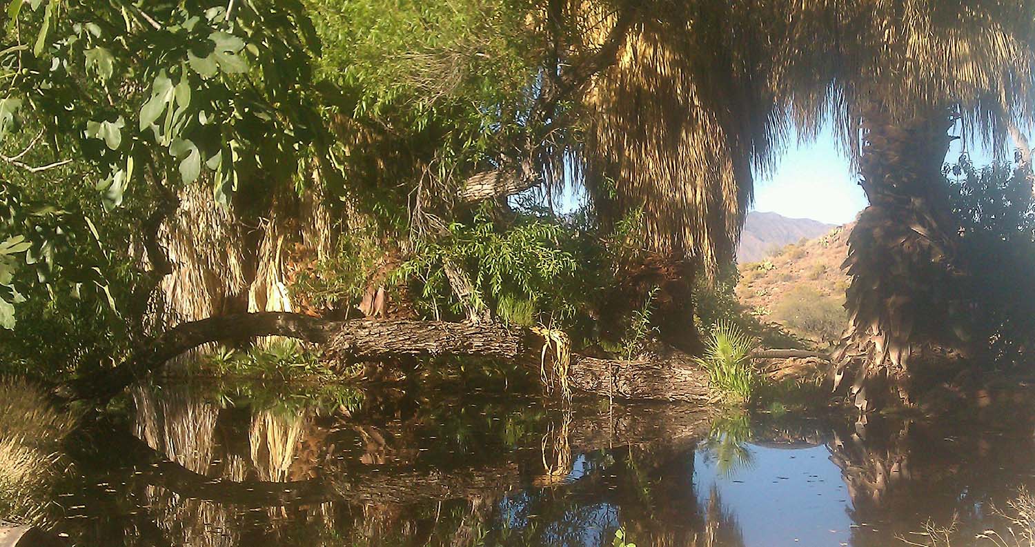 The pond at the Swallow Mine
